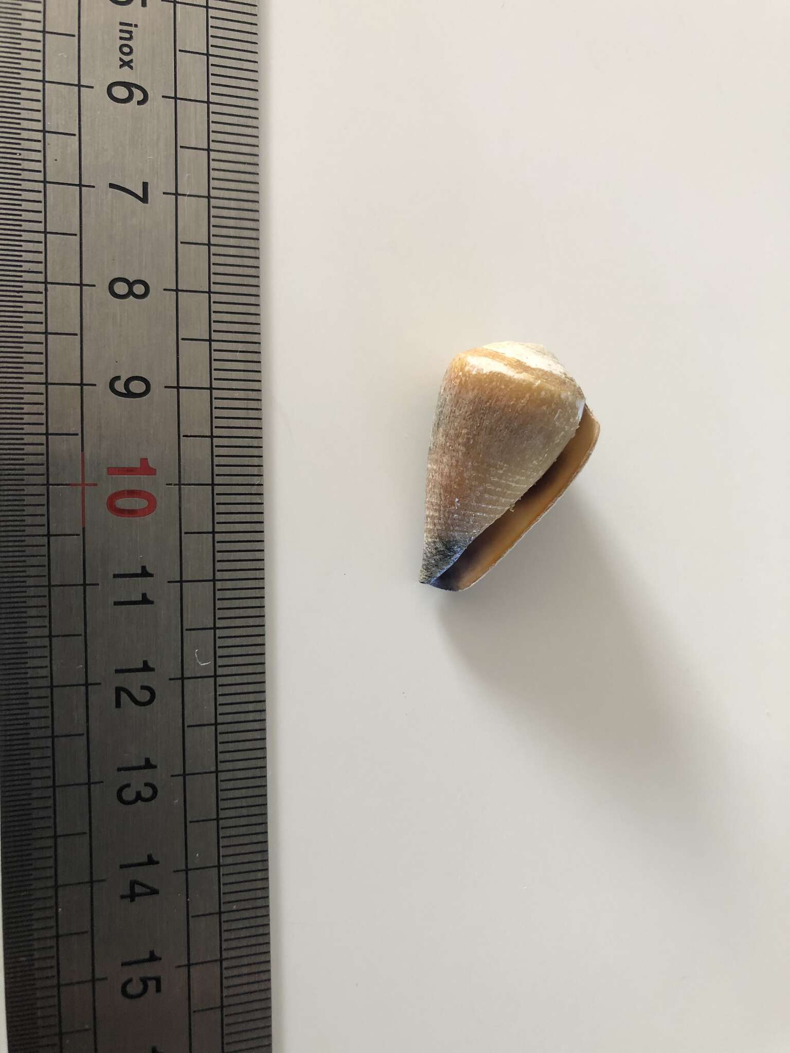 Image of Frigid Cone