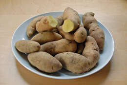 Image of Russian Potato