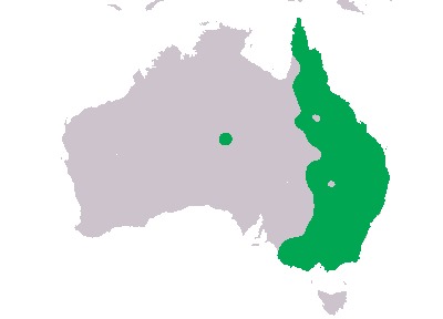<span class="translation_missing" title="translation missing: en.medium.untitled.map_image_of, page_name: Pied Currawong">Map Image Of</span>