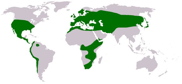 <span class="translation_missing" title="translation missing: en.medium.untitled.map_image_of, page_name: clover">Map Image Of</span>
