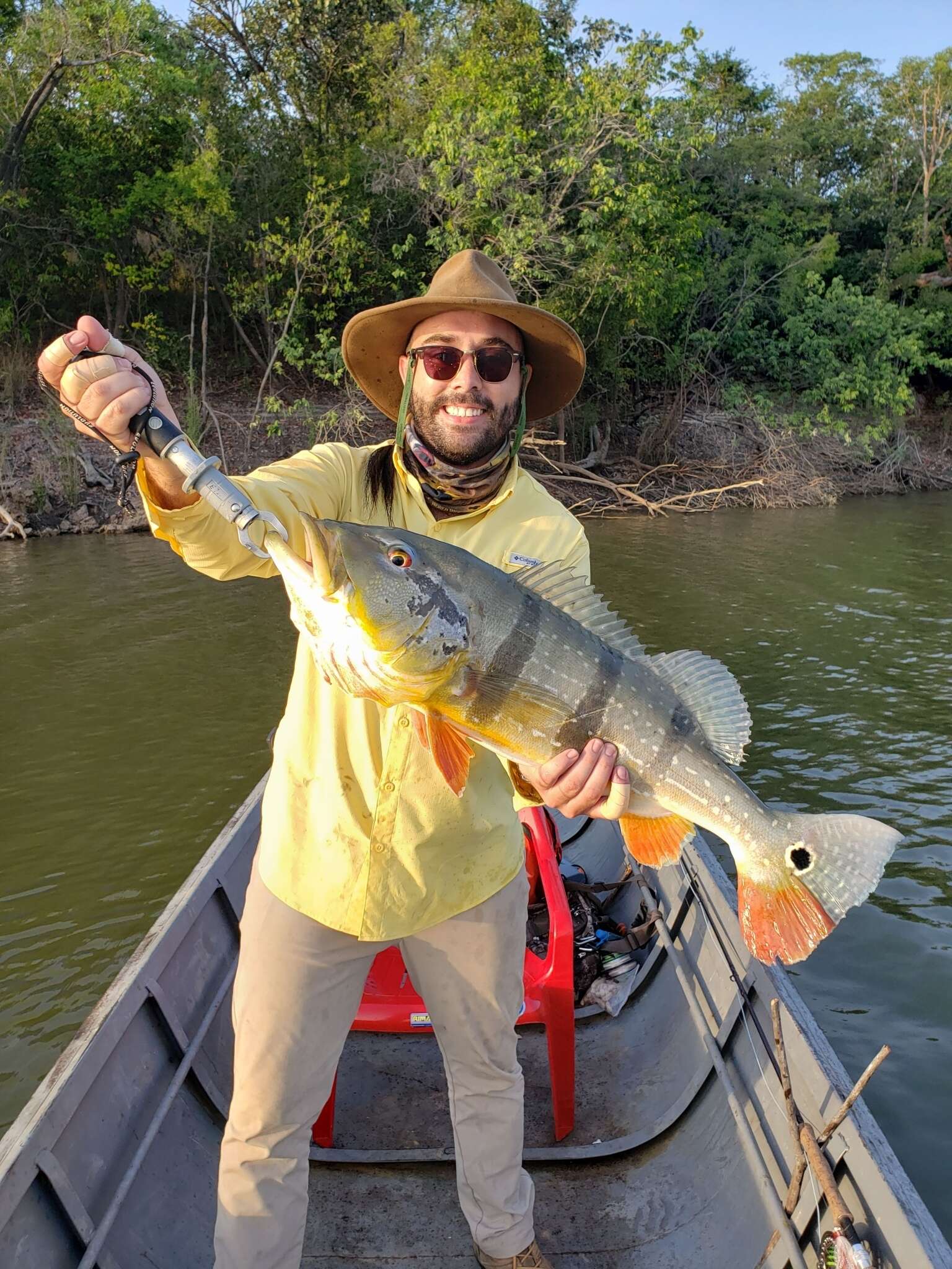 Image of Speckled peacock bass