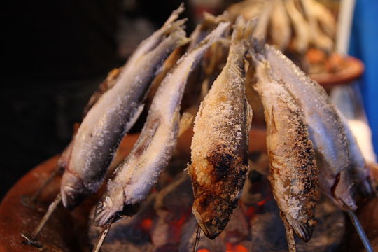 Image of Ayu sweetfish