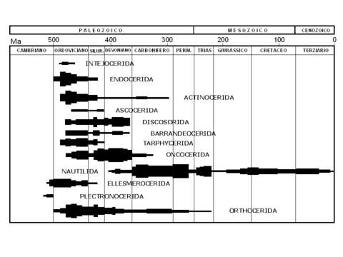 Plancia ëd Nautiloidea Agassiz 1847