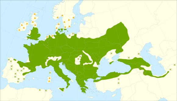 <span class="translation_missing" title="translation missing: en.medium.untitled.map_image_of, page_name: Field Maple">Map Image Of</span>