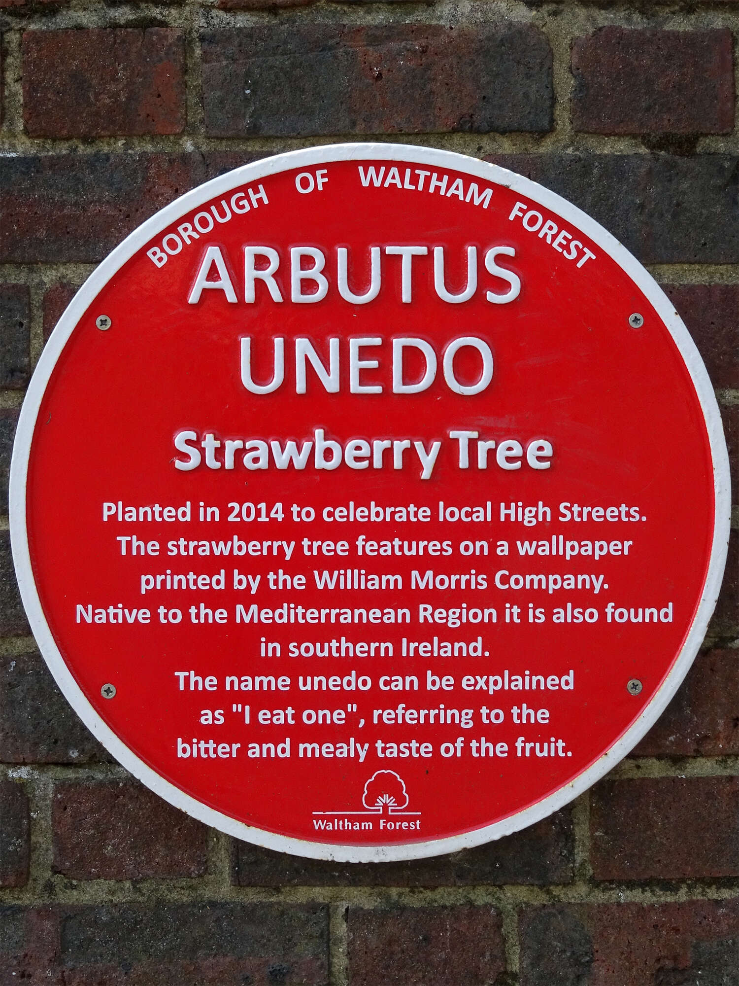 Image of strawberry tree