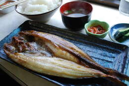 Image of Okhotsk atka mackerel