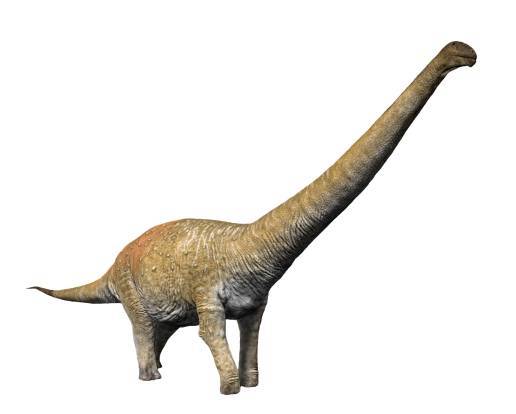 Image of Titanosauria