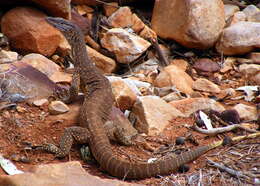 Image of Sand Monitor