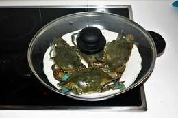 Image of blue crab