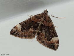 Image of Dark Marbled Carpet