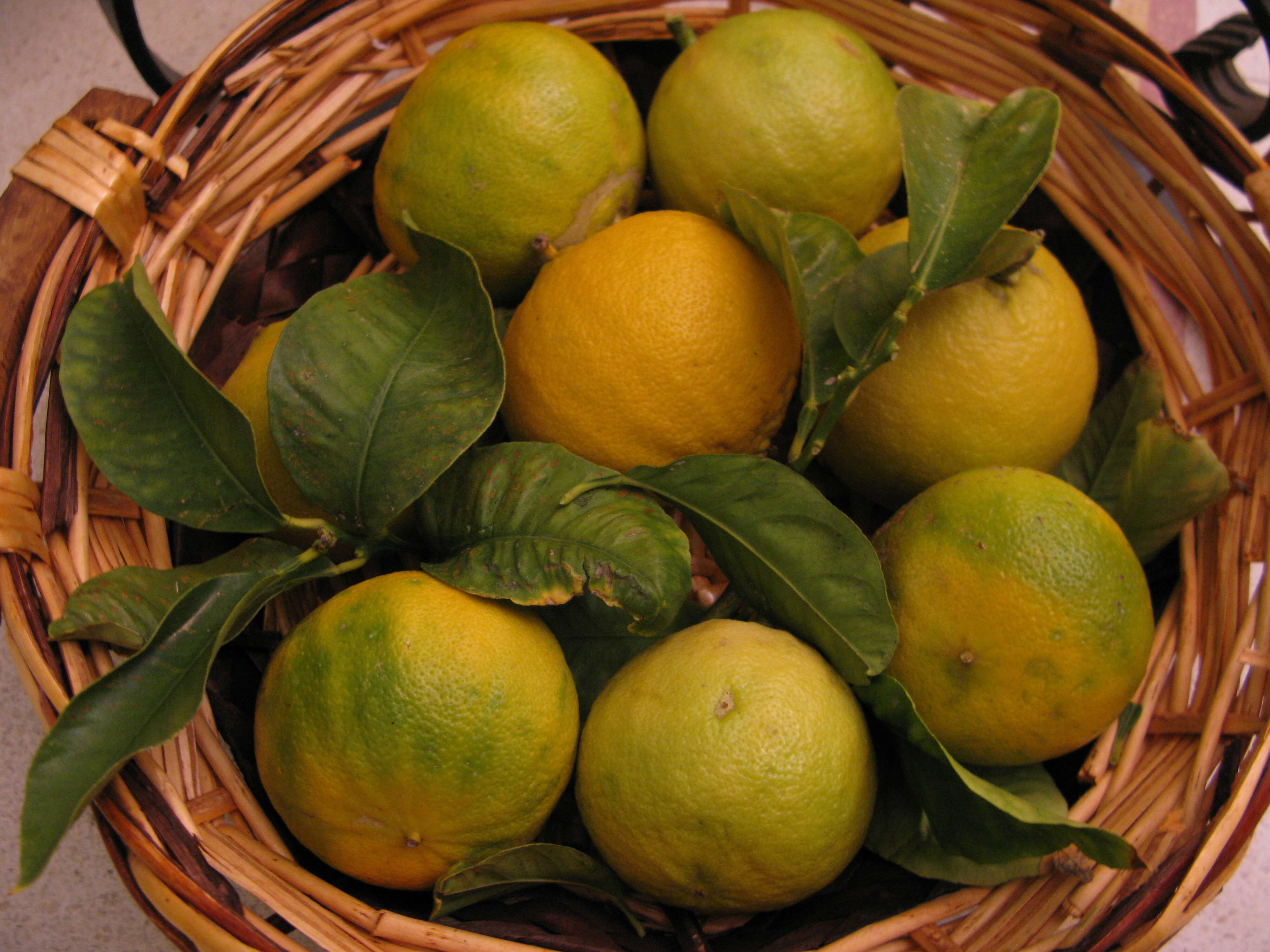 Image of lemon