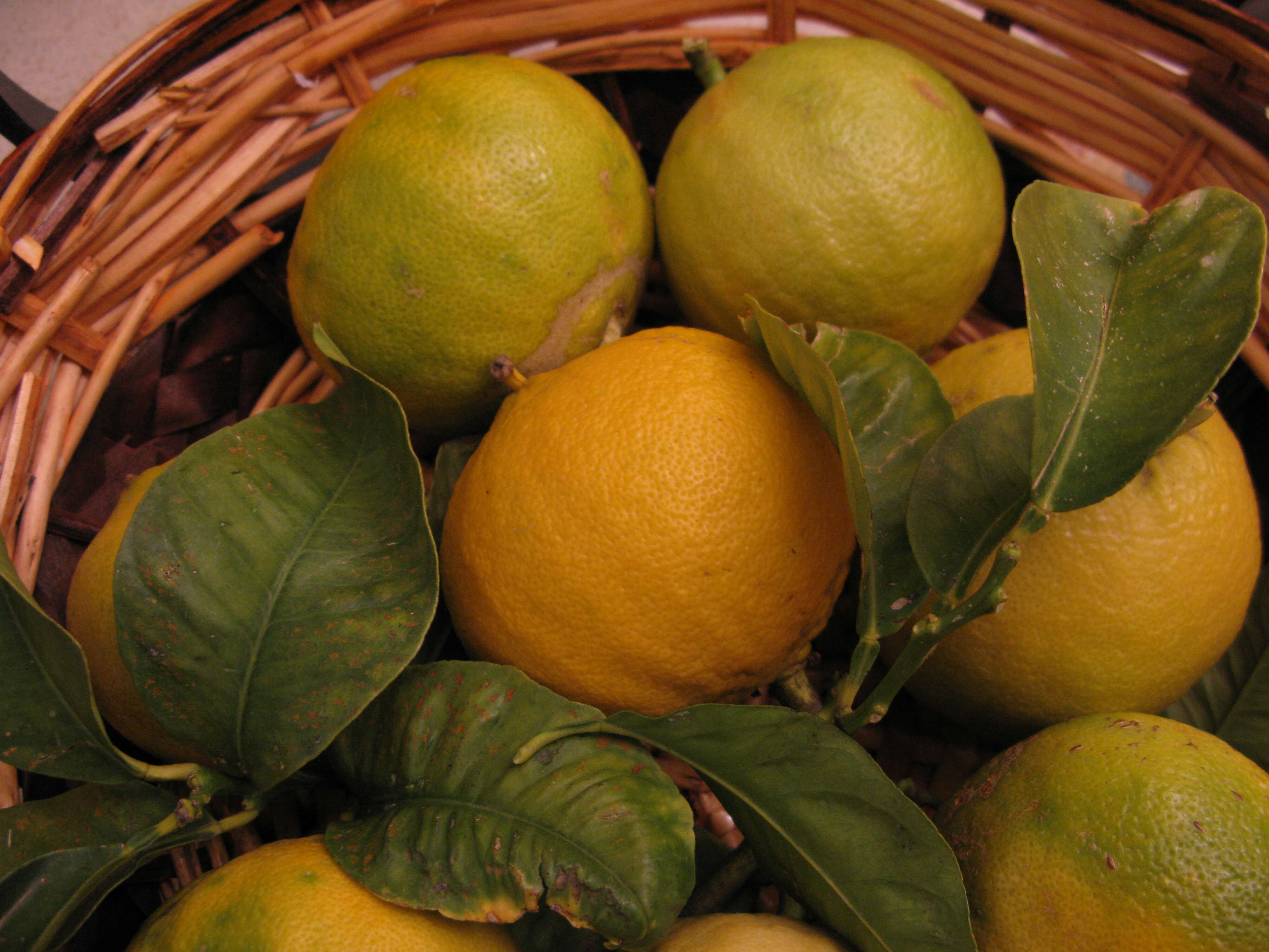 Image of lemon