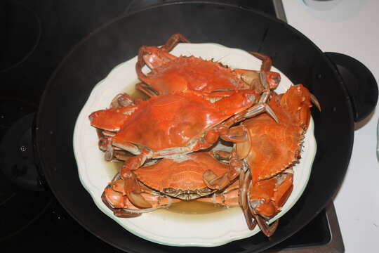 Image of blue crab