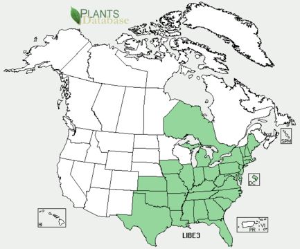 <span class="translation_missing" title="translation missing: en.medium.untitled.map_image_of, page_name: northern spicebush">Map Image Of</span>