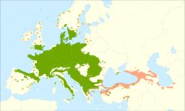 <span class="translation_missing" title="translation missing: en.medium.untitled.map_image_of, page_name: European beech">Map Image Of</span>