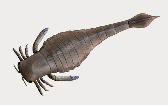 Image of sea scorpions