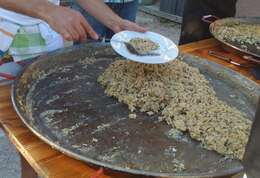 Image of Black Périgord Truffle