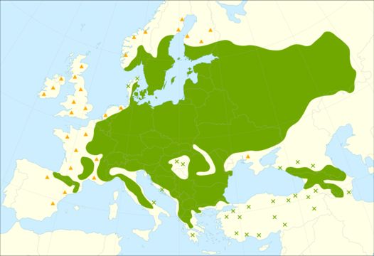<span class="translation_missing" title="translation missing: en.medium.untitled.map_image_of, page_name: Norway maple">Map Image Of</span>