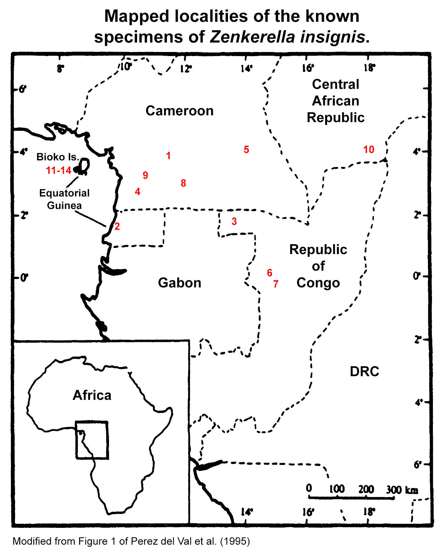 Sivun Kameruninleijuri kuva