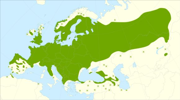 <span class="translation_missing" title="translation missing: en.medium.untitled.map_image_of, page_name: Alder Buckthorn">Map Image Of</span>