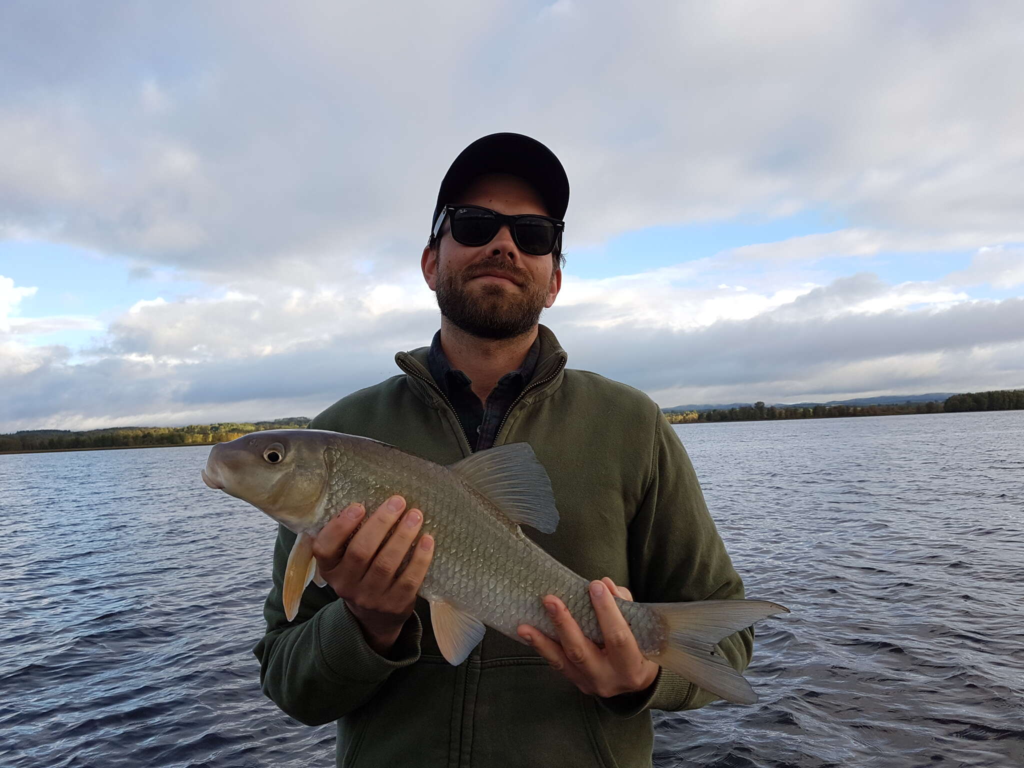 Image of Silver Redhorse