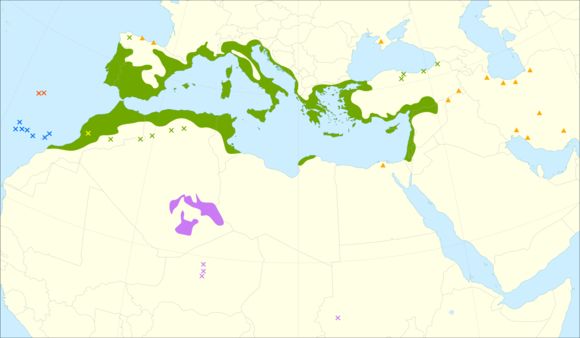 <span class="translation_missing" title="translation missing: en.medium.untitled.map_image_of, page_name: olive tree">Map Image Of</span>