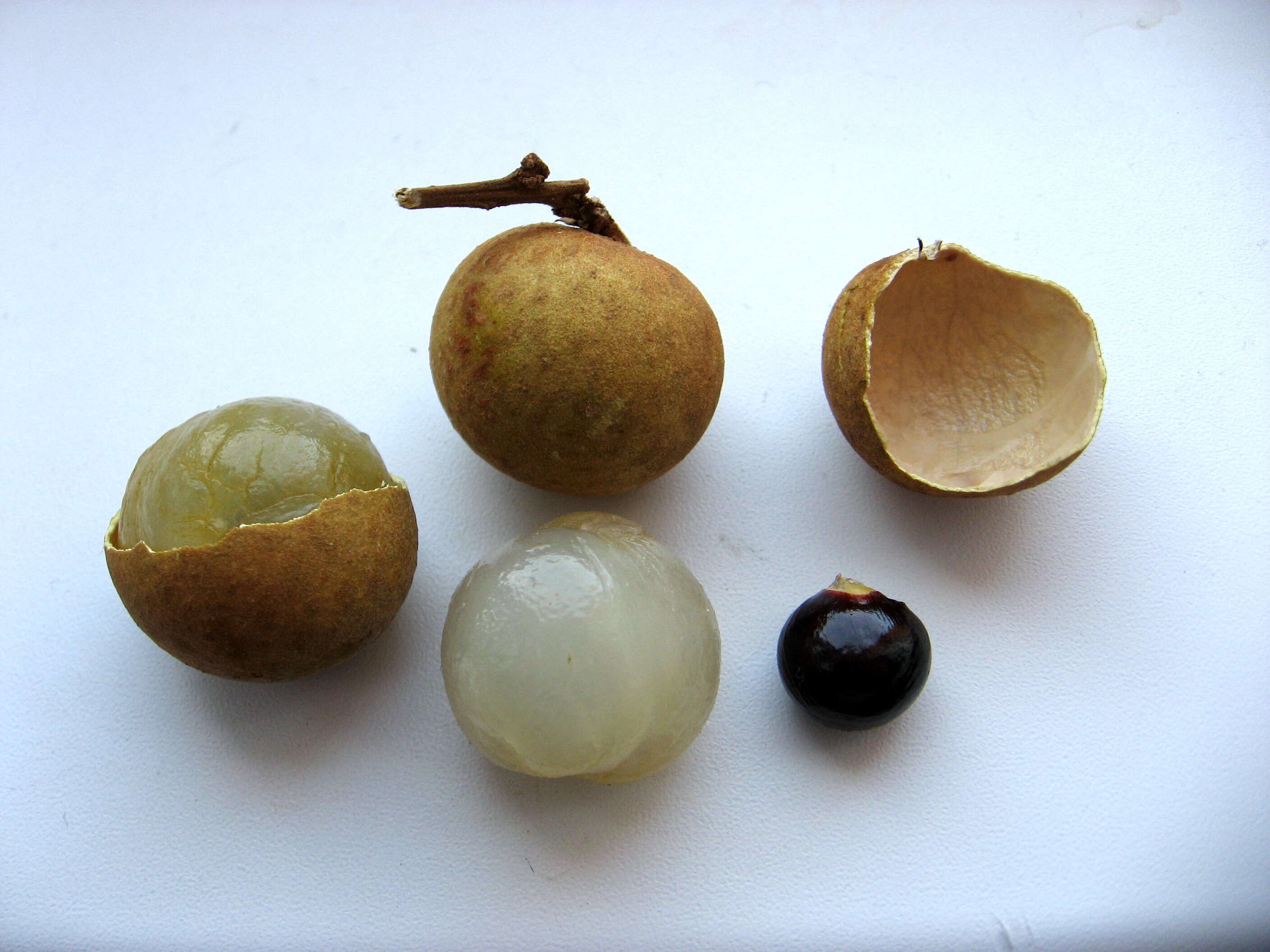 Image of longan