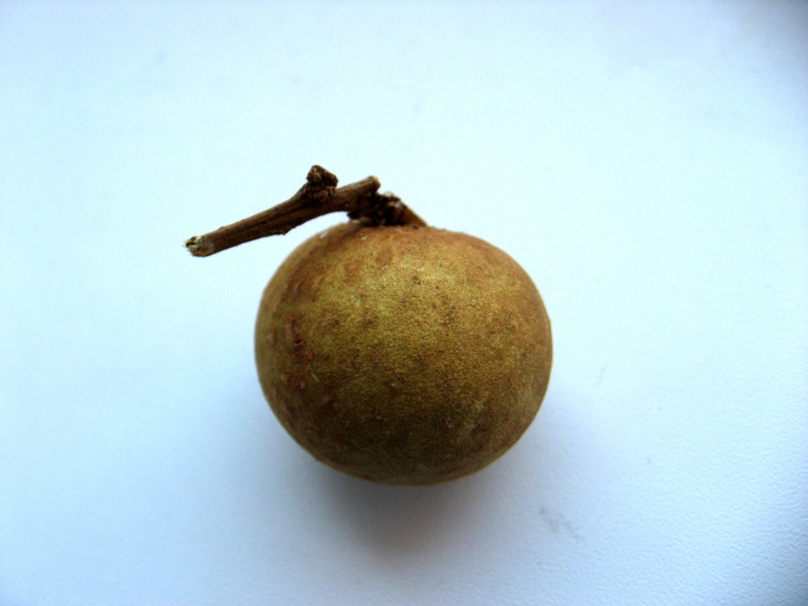 Image of longan