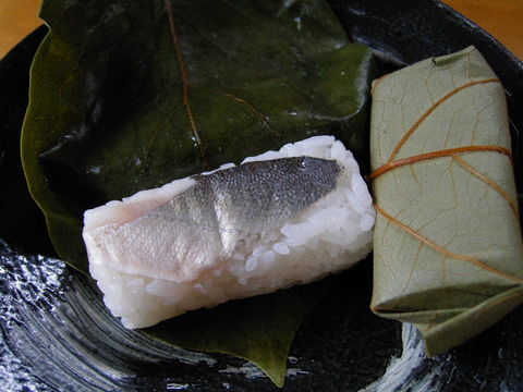 Image of Ayu sweetfish
