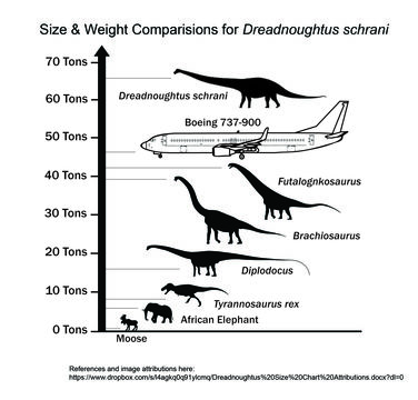 Image of Titanosauria