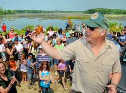 Image of American Red-bellied Turtle