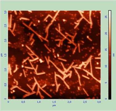 Image of Alfalfa mosaic virus