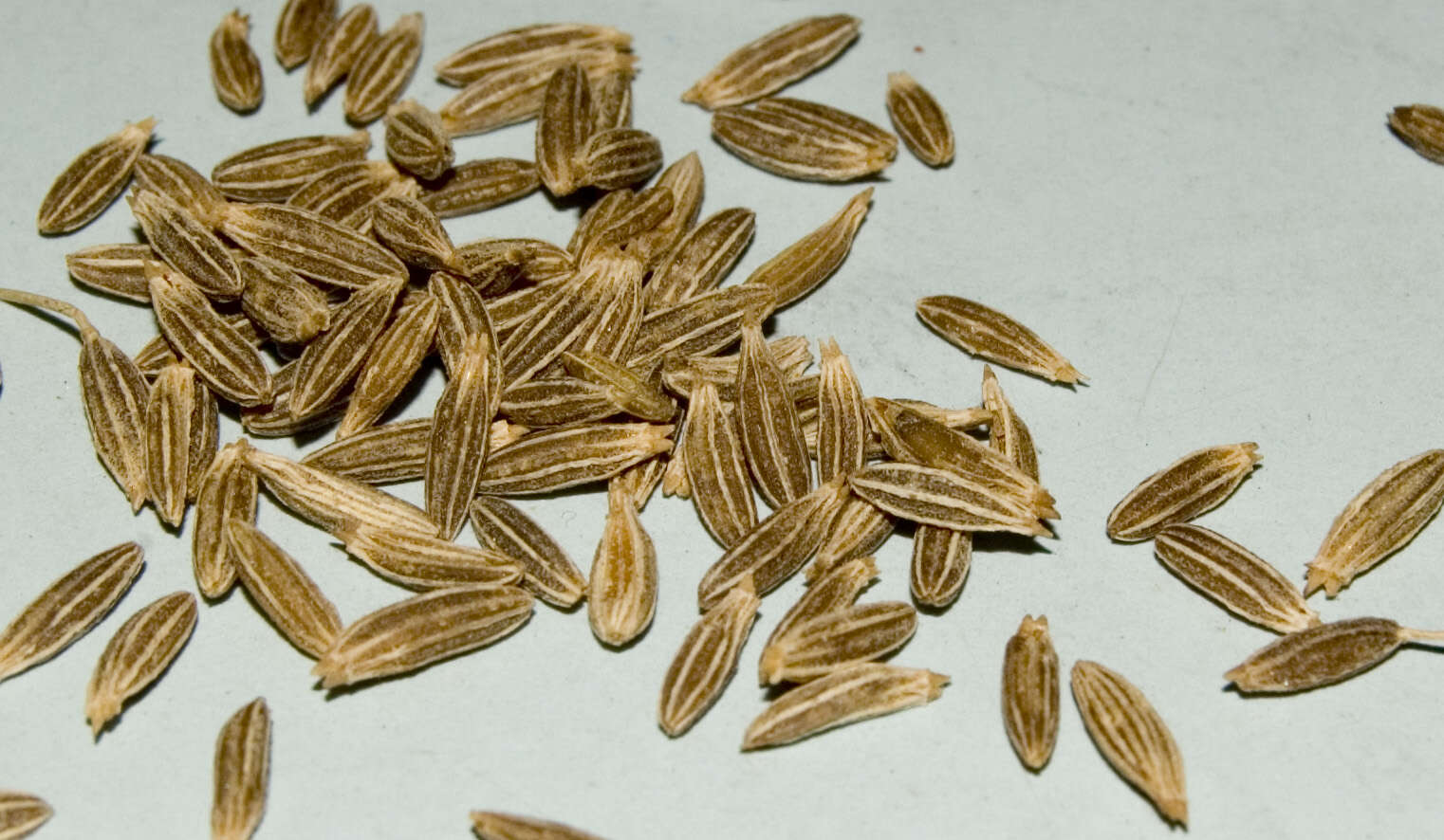 Image of cumin