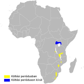 <span class="translation_missing" title="translation missing: en.medium.untitled.map_image_of, page_name: Blue Swallow">Map Image Of</span>