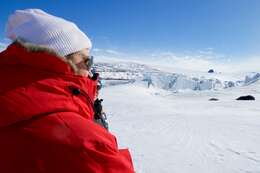 Image of Weddell seal