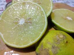 Image of lemon