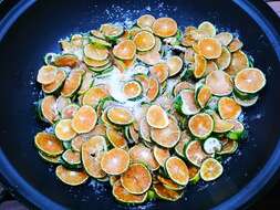 Image of Citrus unshiu