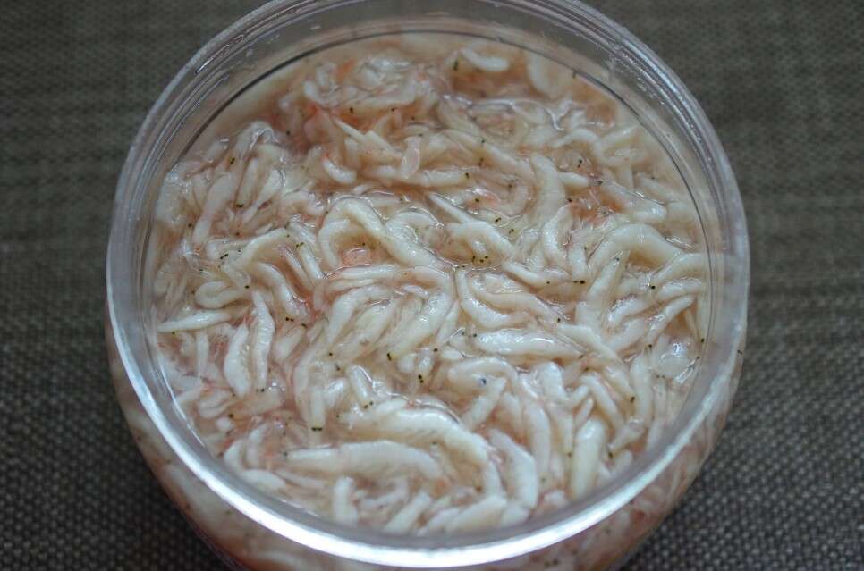 Image of shrimp