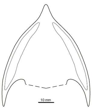 Imagem de Osteostraci