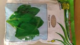 Image of spinach