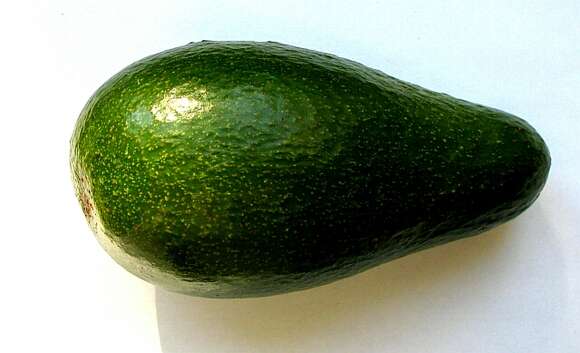 Image of avocado