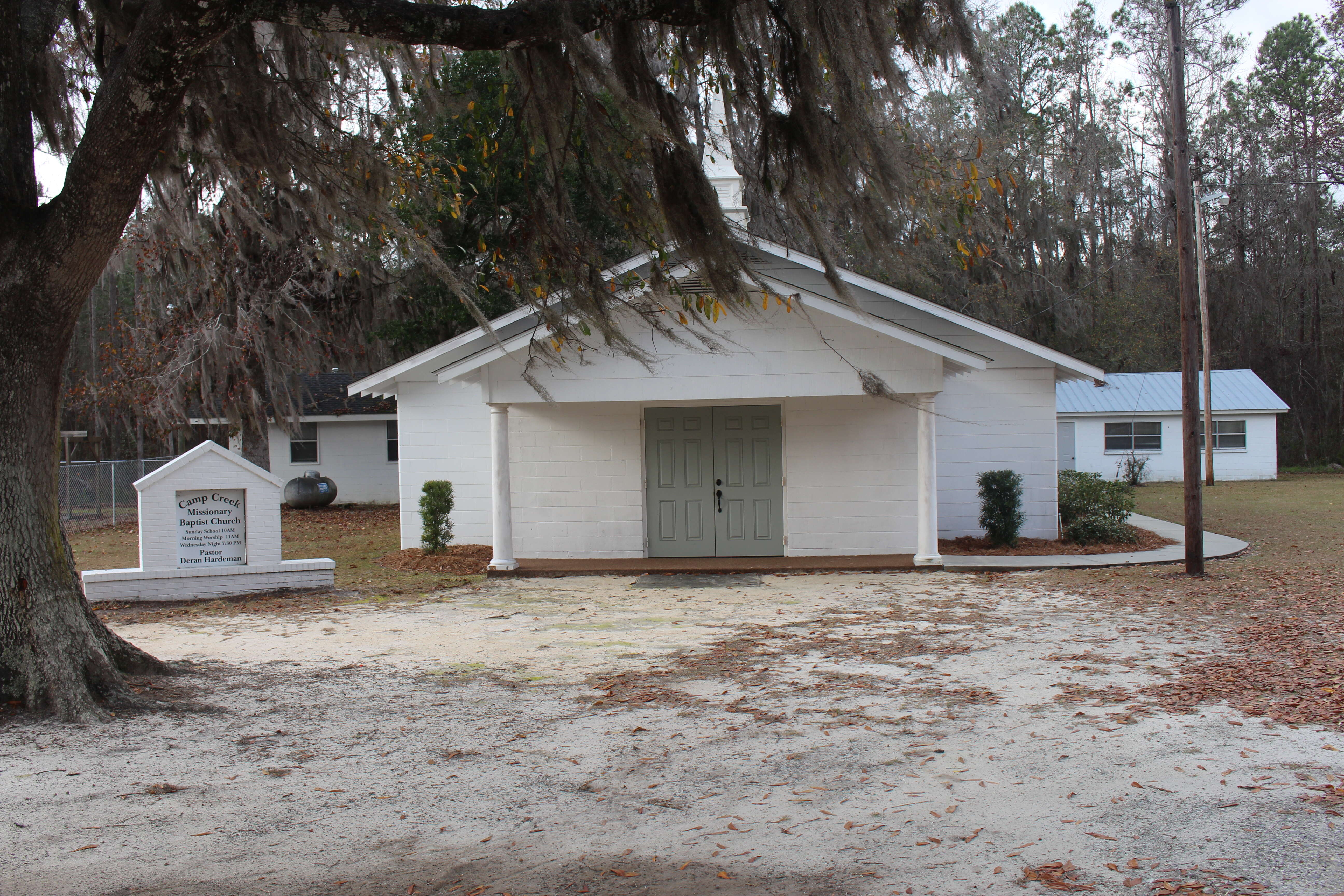 Image of Spanish moss