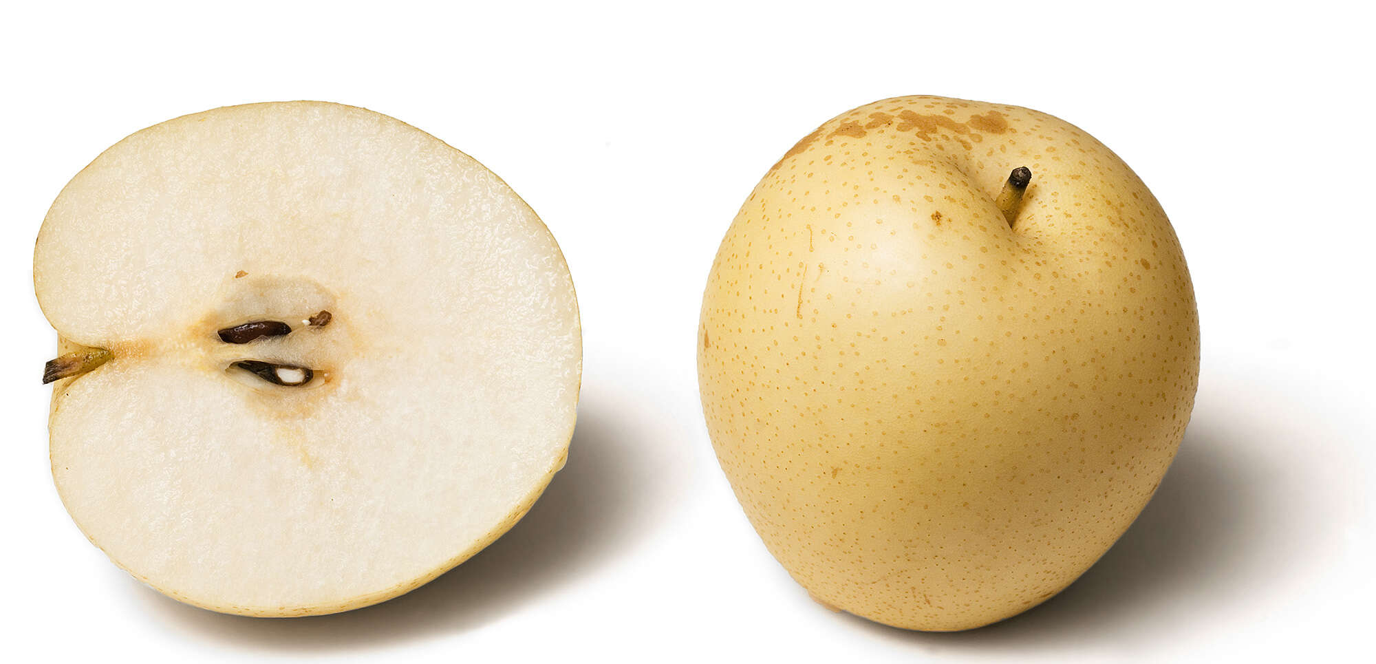 Image of Chinese pear