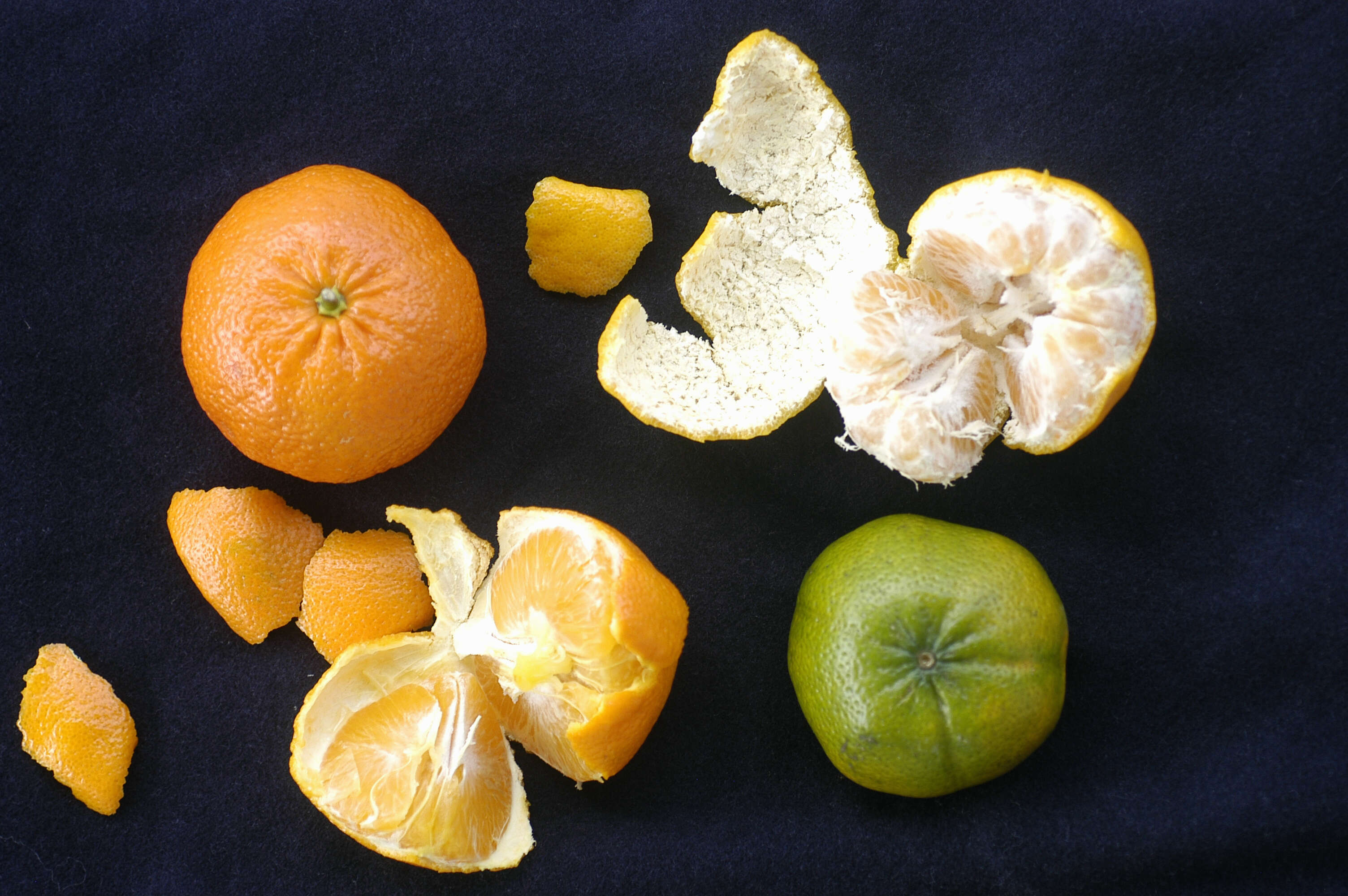 Image of Citrus reticulata