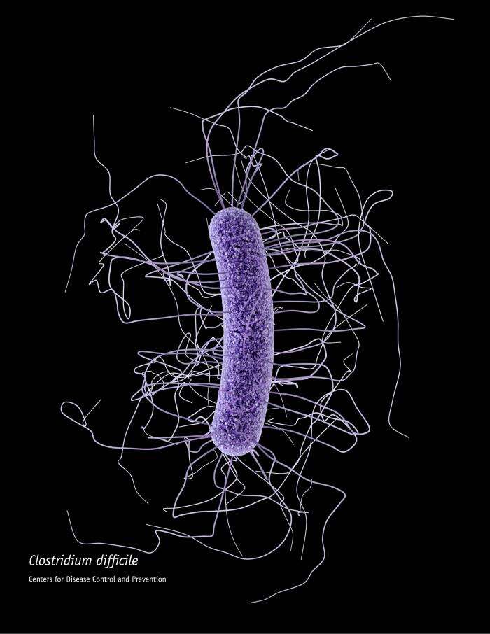 Image de Clostridioides difficile