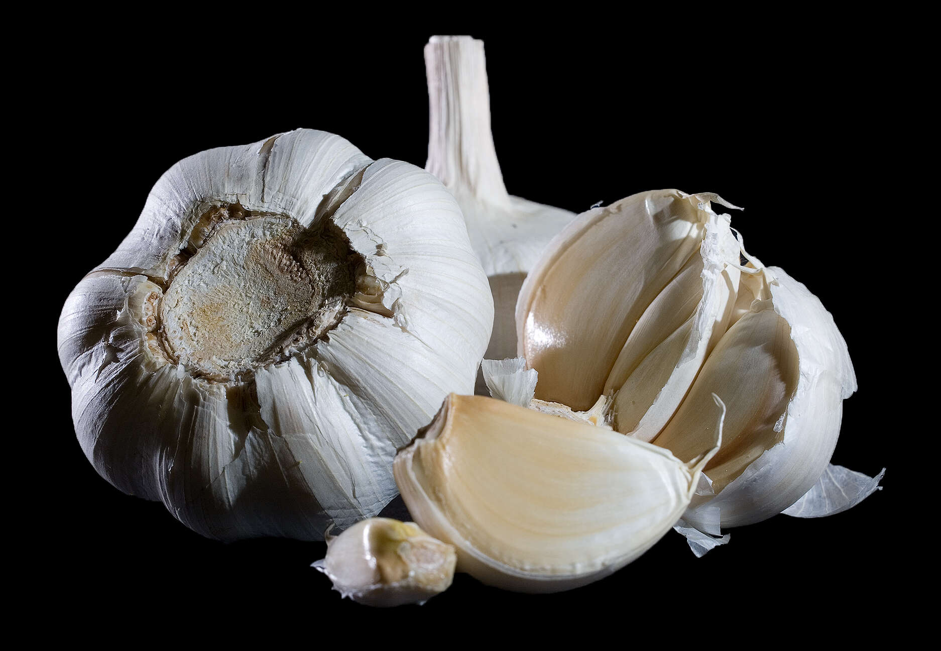 Image of cultivated garlic