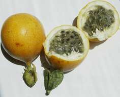 Image of sweet granadilla