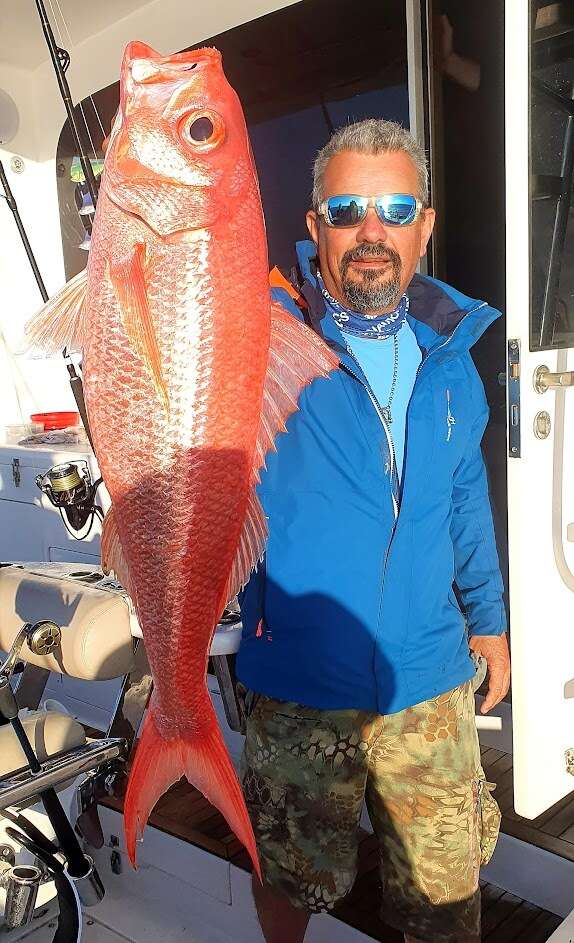 Image of Blear-eyed Snapper