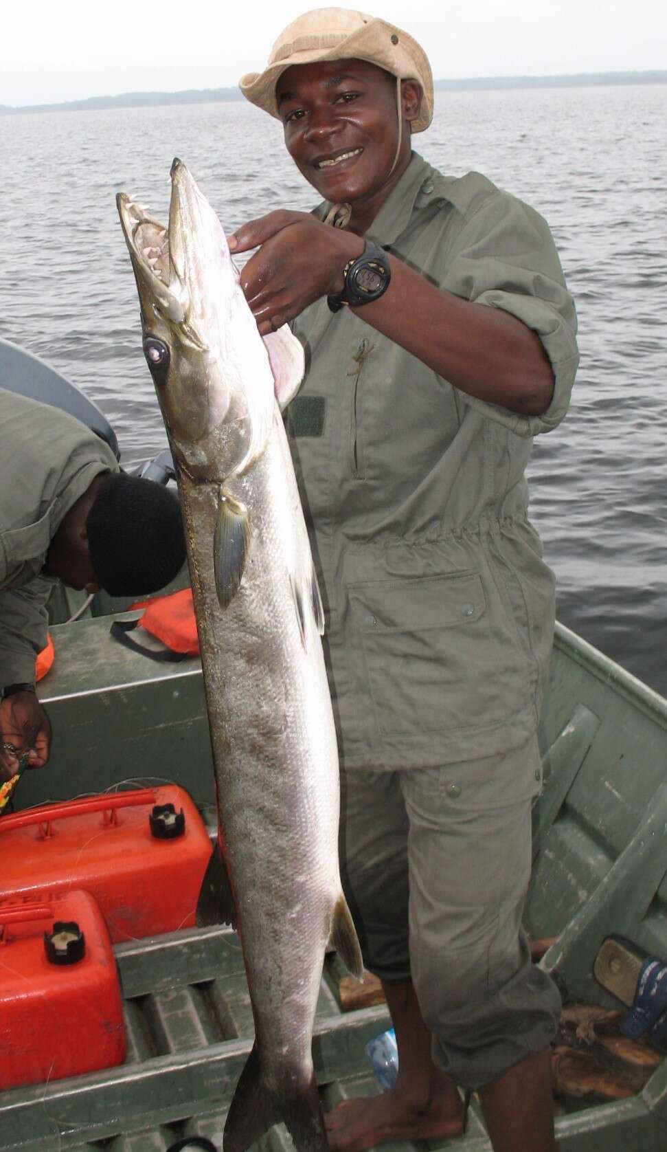 Image of Guinean barracuda