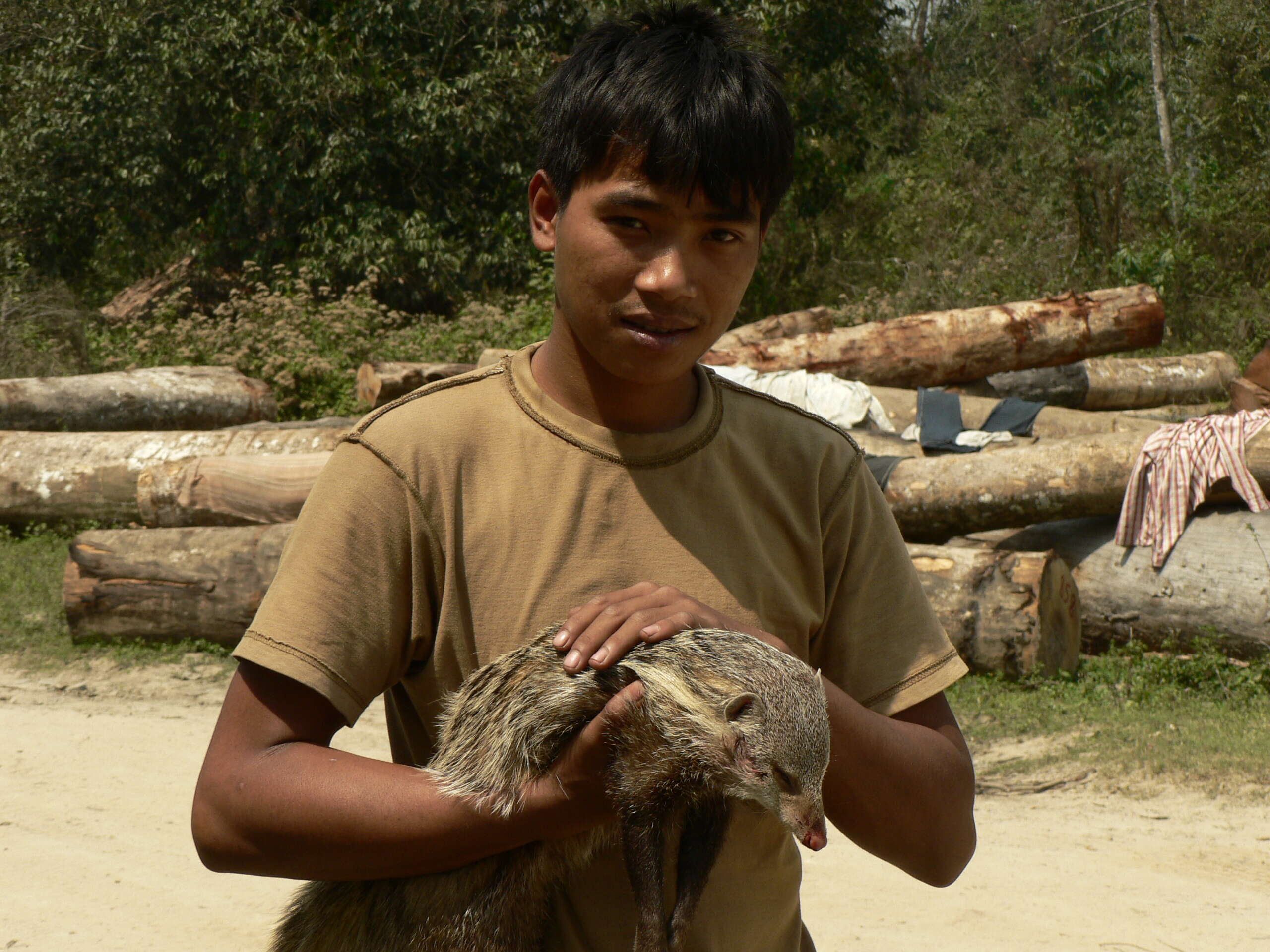 Image of Crab-Eating Mongoose